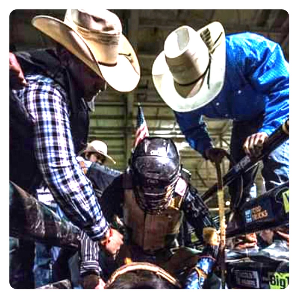 Meet your Posher, Robyn